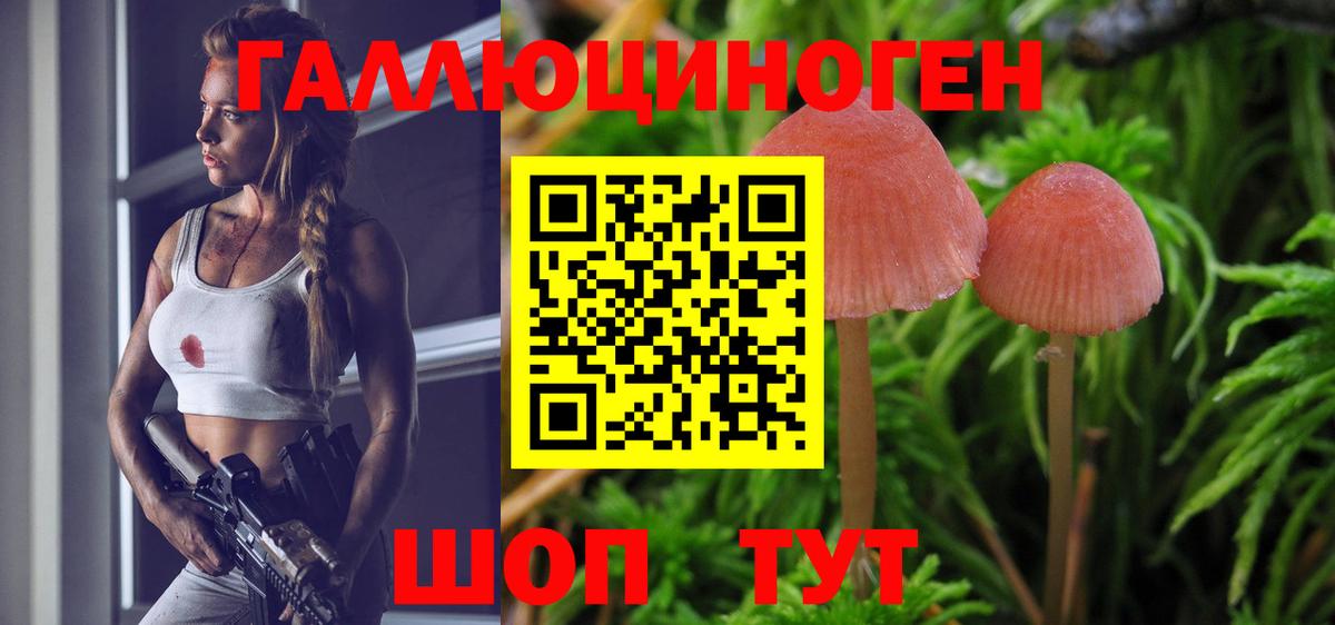 Псилоцибиновые грибы мицелий Волоколамск