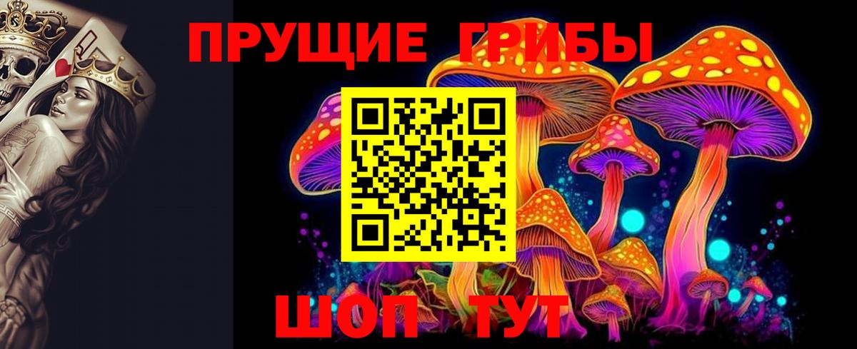 Галлюциногенные грибы Psilocybe  Вход с VPN  Волоколамск  Галлюциногенные грибы мухоморы 
